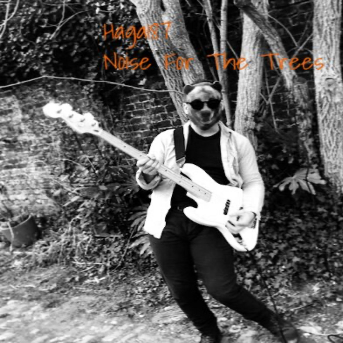 Noise For The Trees — album cover